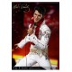 Elvis Presley Superb Scale Hybrid Statue 1/4 Elvis Aaron Presley 52 cm