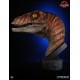 Jurassic Park The Lost World Male Raptor 1/1 Scale Bust