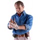 Jurassic Park Action Figure 1/6 Dr. Alan Grant 30 cm