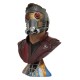 Avengers: Endgame Legends in 3D Bust 1/2 Star-Lord 25 cm