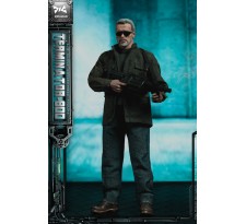 Terminator 1/6 Scale Collectible Action Figure T-800 32 cm