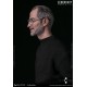 Damtoys Legendary Inventor 2017 Sidney Maurer Homage Artwork of Steve Jobs