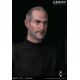 Damtoys Legendary Inventor 2017 Sidney Maurer Homage Artwork of Steve Jobs