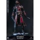 Damtoys Assassin s Creed Rogue 1/6th Scale Shay Patrick Cormac Collectible Figure