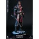 Damtoys Assassin s Creed Rogue 1/6th Scale Shay Patrick Cormac Collectible Figure