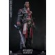 Damtoys Assassin s Creed Rogue 1/6th Scale Shay Patrick Cormac Collectible Figure