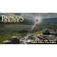 The Princess Bride Prop Replica 1/1 The Sword of Inigo Montoya 107 cm