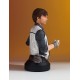 Star Wars SOLO Movie Han Solo Mini Bust