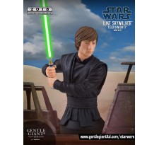Star Wars RotJ Luke Skywalker Mini Bust 2018 SDCC Exclusive