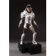 Star Trek Discovery Collectors Gallery Statue 1/8 Michael Burnham 20 cm