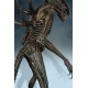 Alien Covenant Statue 1/4 Xenomorph 69 cm