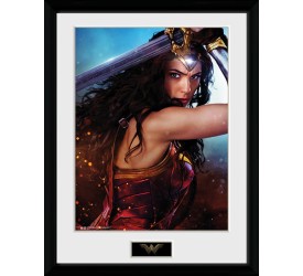 DC Comics Wonder Woman Defend 30 x 40 cm Collector Print