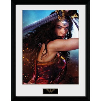 DC Comics Wonder Woman Defend 30 x 40 cm Collector Print