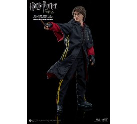 Harry Potter My Favourite Movie Action Figure..