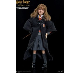 Harry Potter My Favourite Movie Action Figure..
