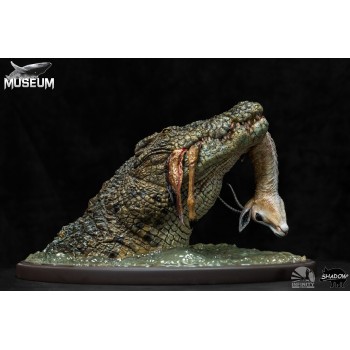 Museum Series Crocodylus Niloticus 1/24 Scale Diorama