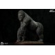 Museum Series Gorill beringei 1/4 Scale Statue