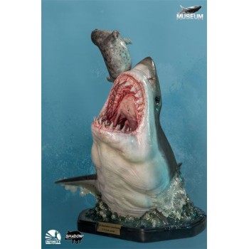Museum Series Statue 1/4 Great White Shark (Carcharodon carcharias) 65 cm