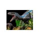 Jurassic World Fallen Kingdom Deluxe Art Scale Statue 1/10 Blue 24 cm