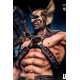 DC Comics Prime Scale Statue 1/3 Hawkman Open and Closed Wings Version 104 cm