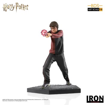 Harry Potter Goblet of Fire BDS Art Scale Statue 1/10 Harry Potter 18 cm