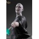 Harry Potter BDS Art Scale Statue 1/10 Voldemort 20 cm