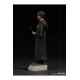 Harry Potter Art Scale Statue 1/10 Harry Potter 17 cm