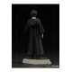 Harry Potter Art Scale Statue 1/10 Harry Potter 17 cm