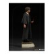 Harry Potter Art Scale Statue 1/10 Harry Potter 17 cm