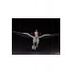 Harry Potter Deluxe Art Scale Statue 1/10 Harry Potter and Buckbeak 30 cm