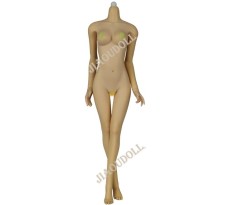 Jiaou Doll Version 3.0 Natural Middle bust for 1/6 action figure