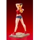 SNK Heroines Bishoujo PVC Statue 1/7 Tag Team Frenzy Terry Bogard Bonus Edition 23 cm