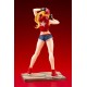 SNK Heroines Bishoujo PVC Statue 1/7 Tag Team Frenzy Terry Bogard Bonus Edition 23 cm