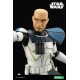 Star Wars The Clone Wars ARTFX PVC Statue 1/7 Captain Rex 28 cm