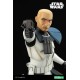 Star Wars The Clone Wars ARTFX PVC Statue 1/7 Captain Rex 28 cm