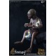 Lord of the Rings Action Figure 1/6 Gollum (Luxury Edition) 19 cm