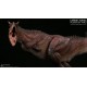 Museum Series Carnotaurus Scenes Collectiblelevel Statue Red Standard Edition