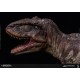 DAMTOYS Museum Collection Series Giganotosaurus 32 cm