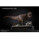 DAMTOYS Museum Paleontology Series 1/15 Tyrannosaurus Rex Full Body Statue 45 cm