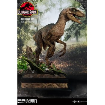 Jurassic Park Statue 1/6 Velociraptor 41 cm