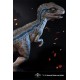 Jurassic World Fallen Kingdom Life-Size Statue Baby Blue 69 cm