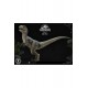 Jurassic World: Fallen Kingdom Prime Collectibles Statue 1/2 Baby Blue 34 cm