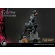 DC Comics Statue 1/3 Catwoman Deluxe Version Concept Design by Lee Bermejo 69 cm