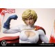 DC Comics Power Girl 1/3 Scale Statue Deluxe Version