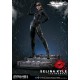 DC Comics Dark Knight Rises Selina Kyle Catwoman Statue 80 CM