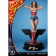 DC Comics Wonder Woman 1975 Series Wonder Woman 1/3 Scale Statue Bonus Version