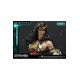 Injustice 2 Statue 1/4 Wonder Woman Deluxe Version 52 cm