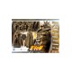 Fist of the North Star Statue 1/4 Raoh Gold Version 78 cm