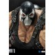 DC Comics Statue 1/3 Bane VS Batman 83 cm