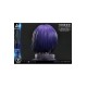 Ghost in the Shell: SAC 2045 Statue 1/4 Motoko Kusanagi and Tachikoma 50 cm